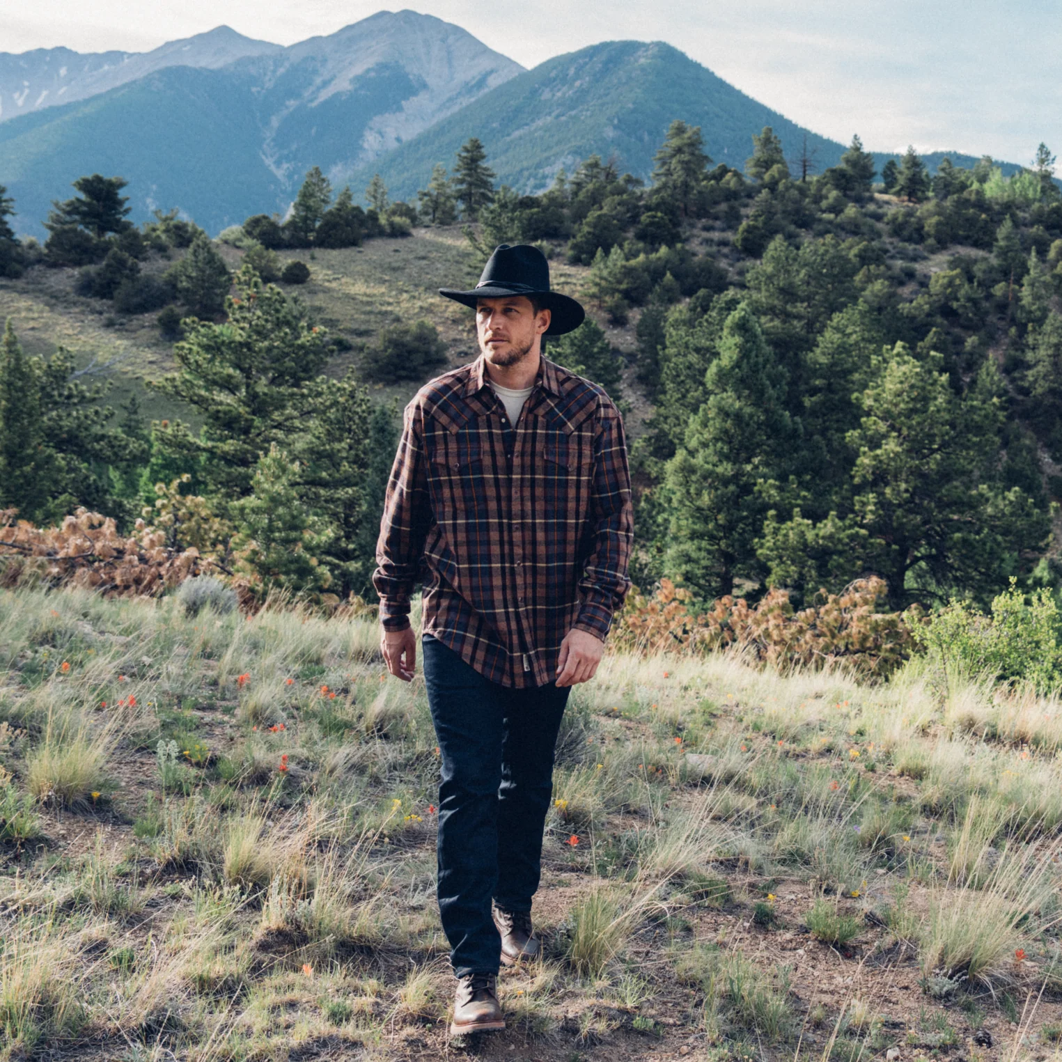 Brushed Flannel Western Shirt - Image 3
