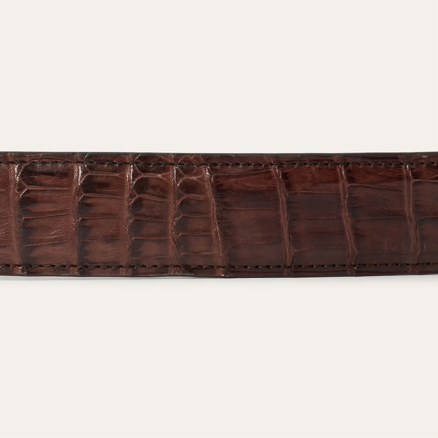 Caiman Tapered Belt - Image 5