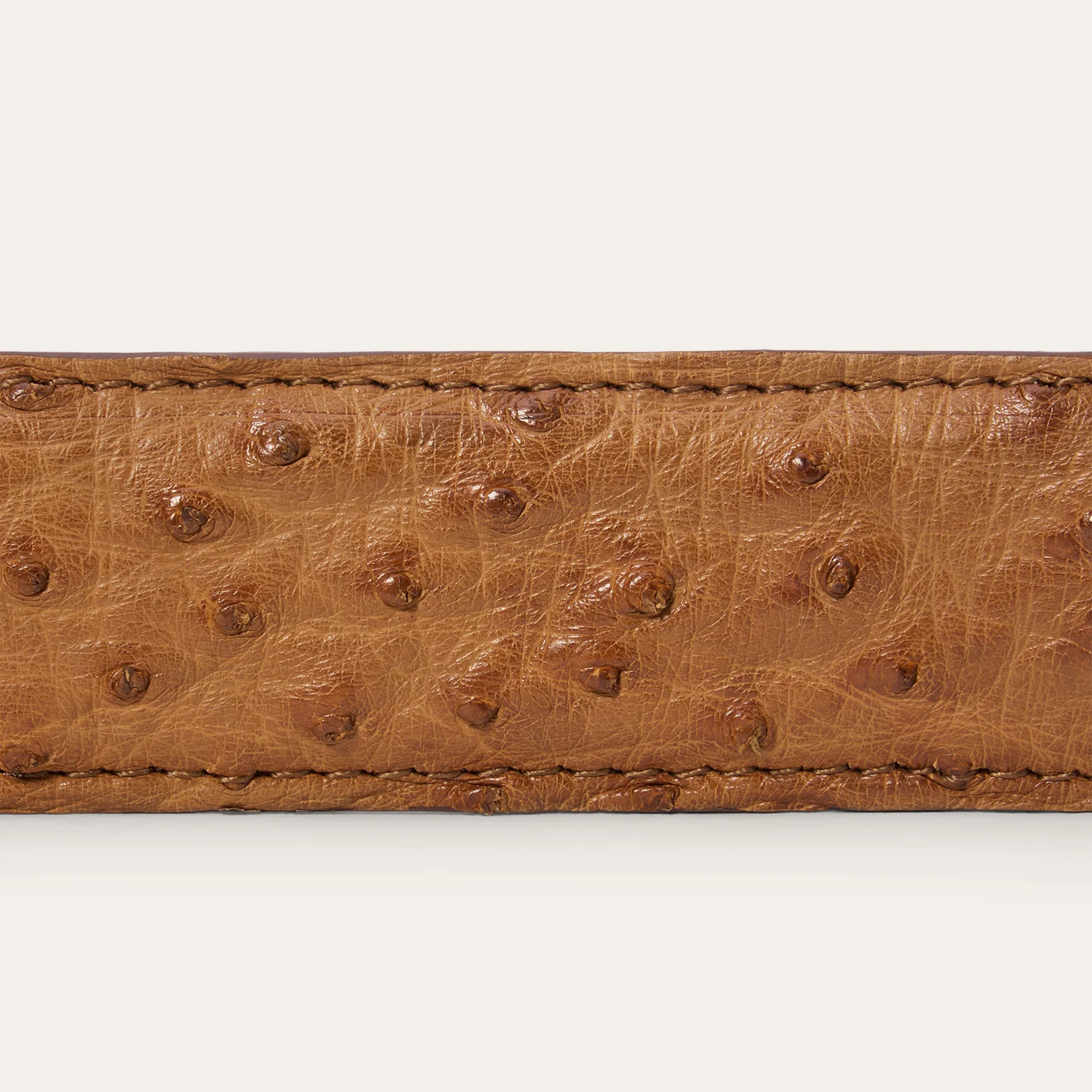 Ostrich Western Tab Belt - 1 1/4" Width - Image 6