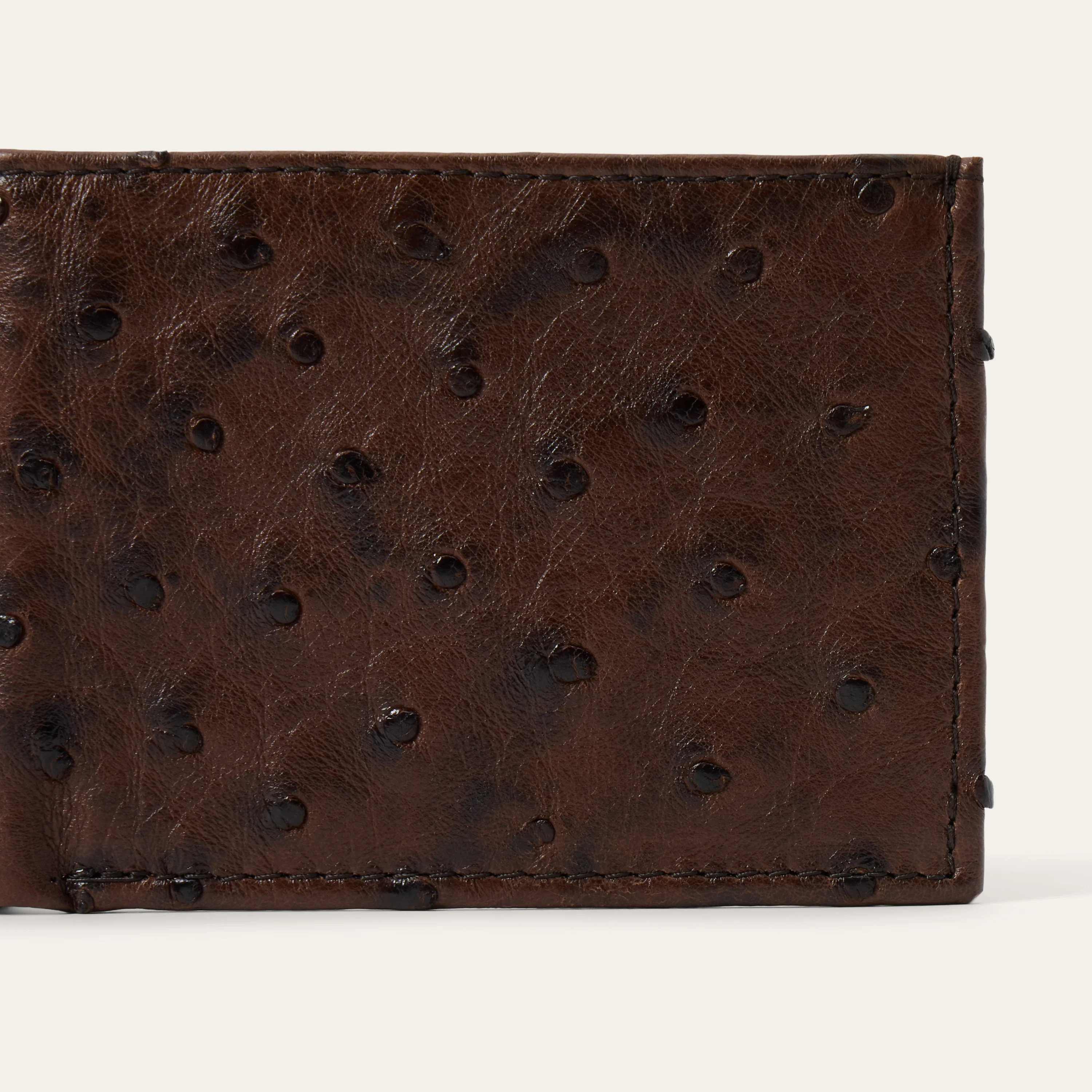 Ostrich Bi-Fold Wallet - Image 4