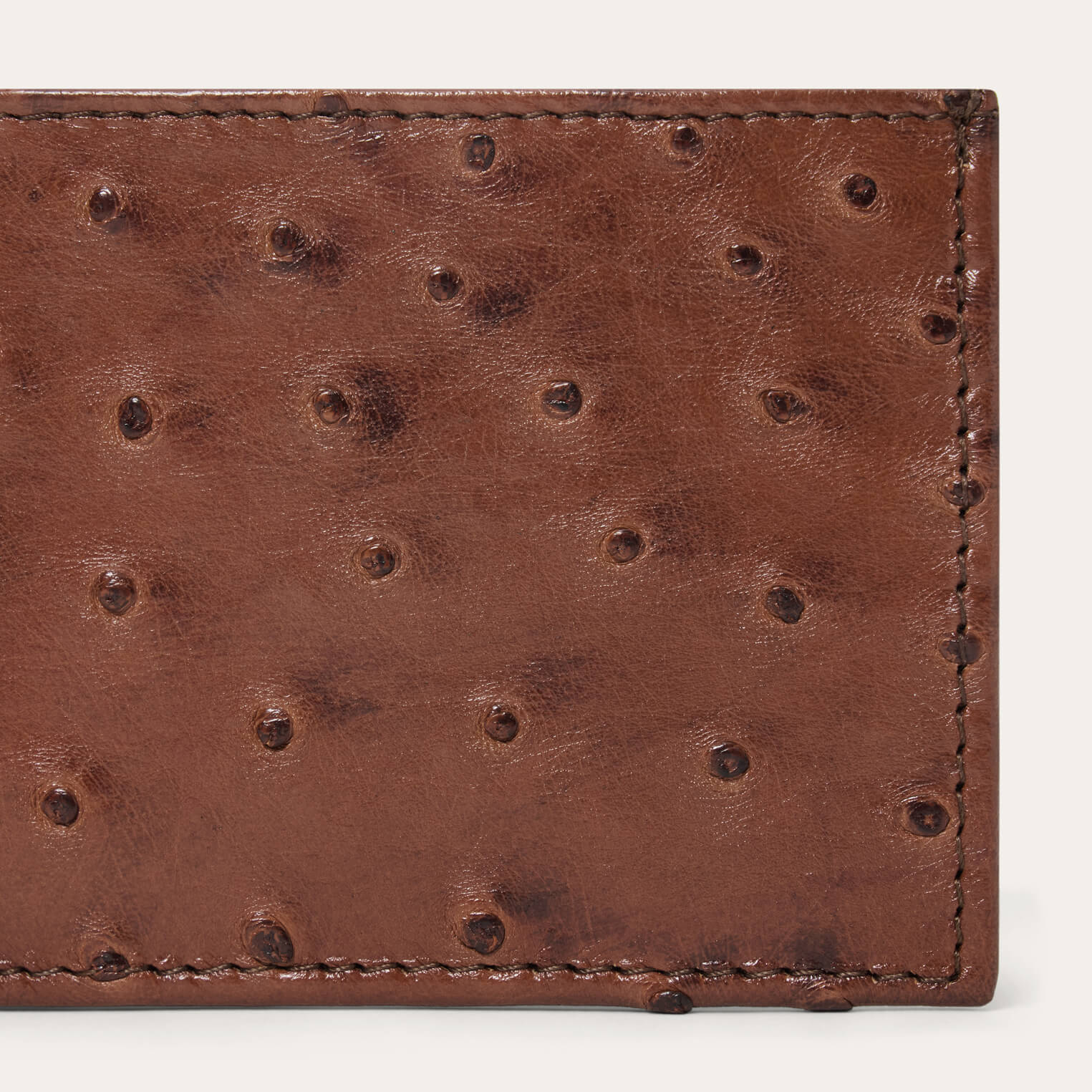 Ostrich Bi-Fold Wallet - Image 4