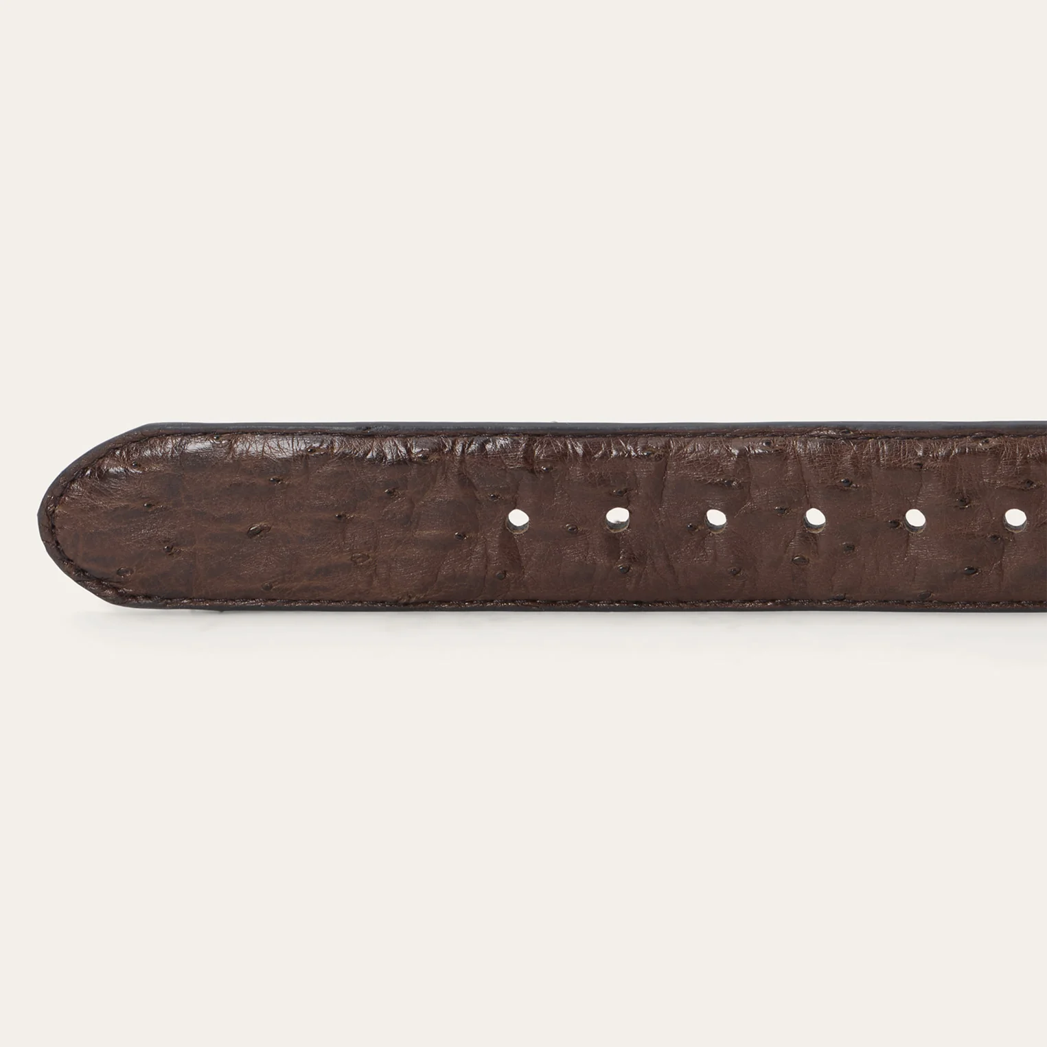 Ostrich Western Tab Belt - Image 3