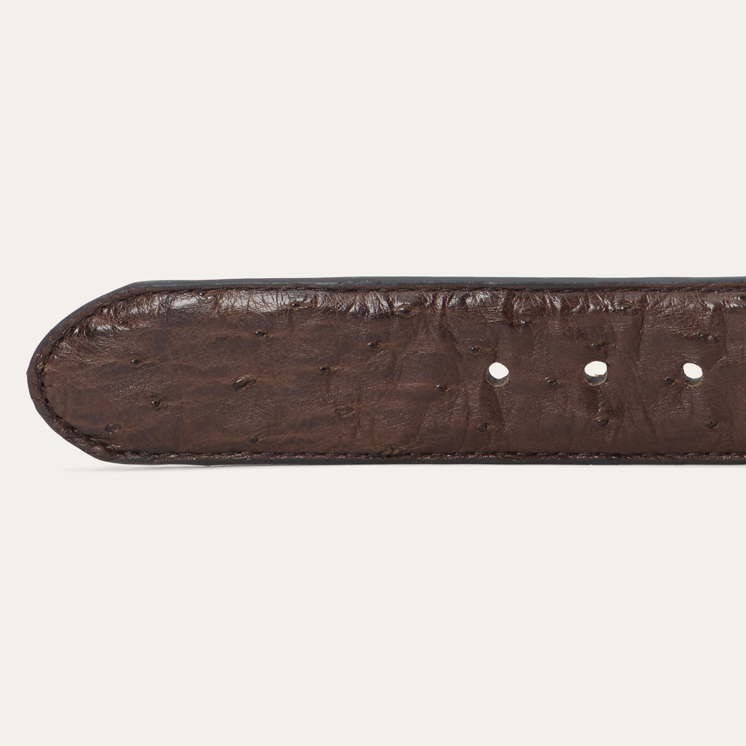 Ostrich Western Tab Belt - Image 5
