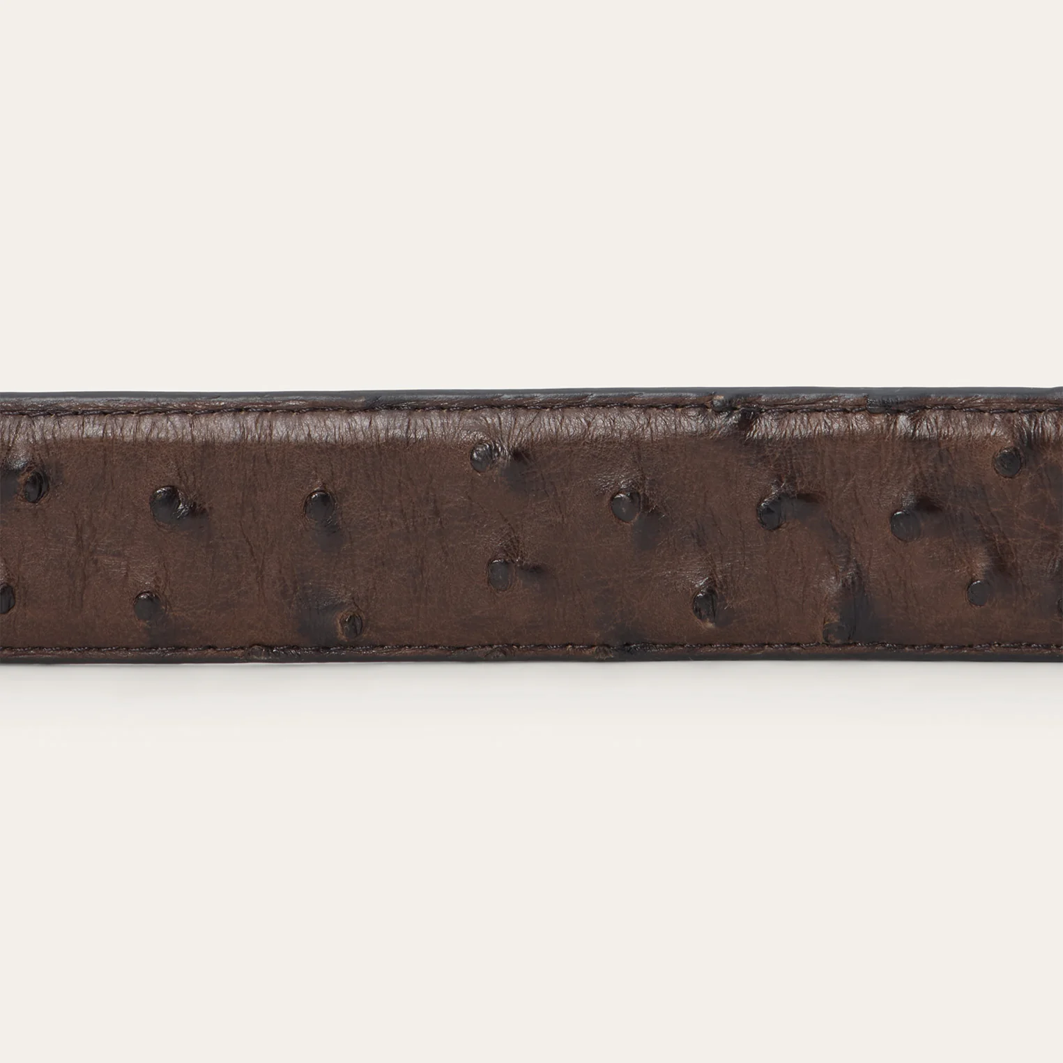 Ostrich Western Tab Belt - Image 6