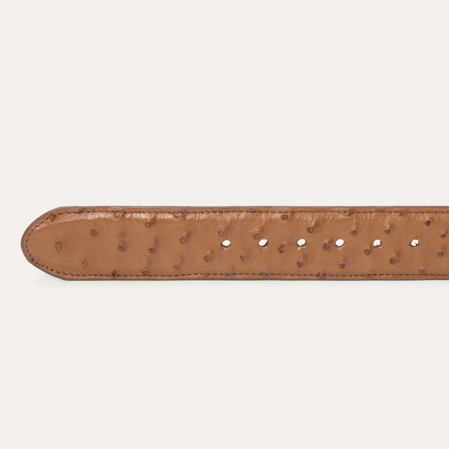 Ostrich Western Tab Belt - Image 4