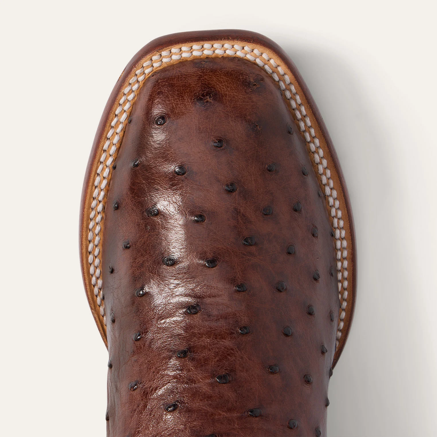 Ozzy Ostrich Boot - Image 5