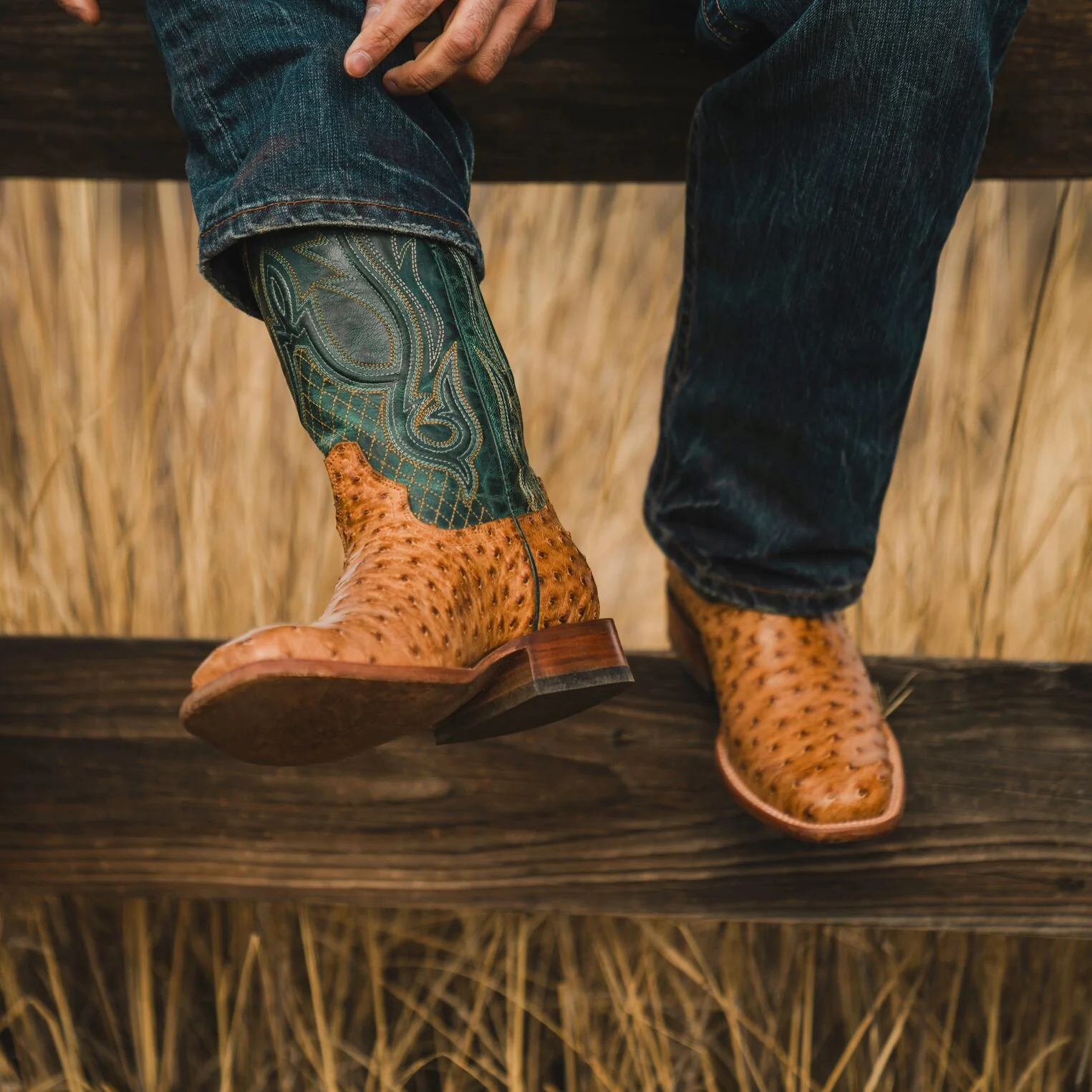 Ozzy Ostrich Boot - Image 2