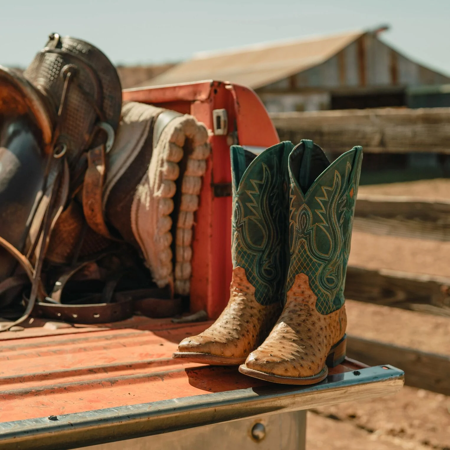 Ozzy Ostrich Boot - Image 3