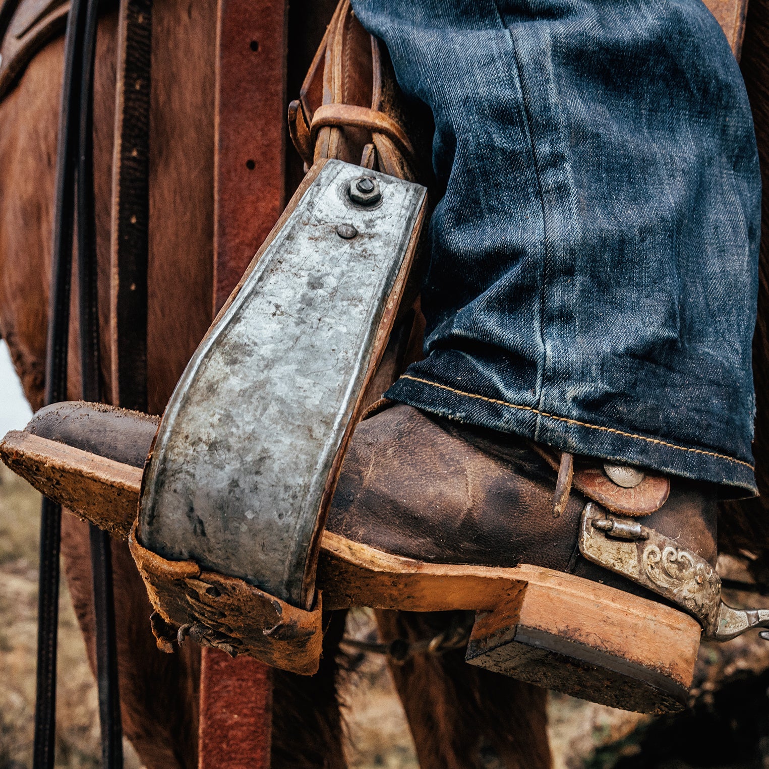 Rancher Zip Roper - Image 3