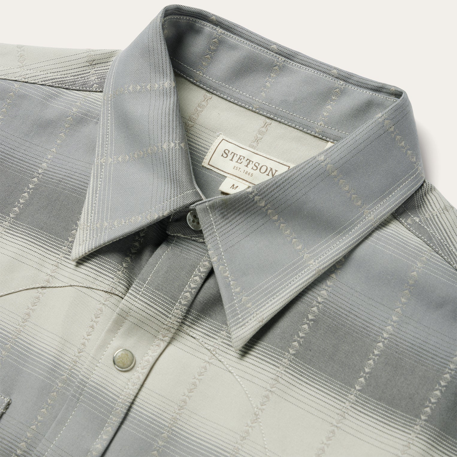 Serape Dobby Twill Western Shirt - Image 3