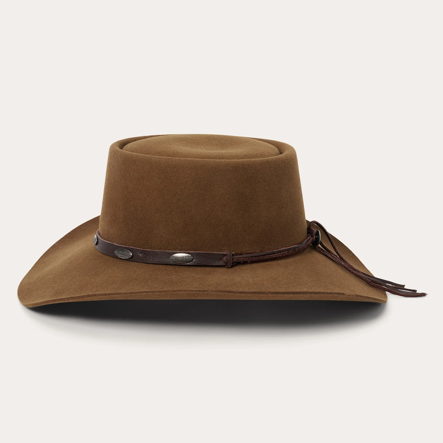 Wild Bunch - Image 3