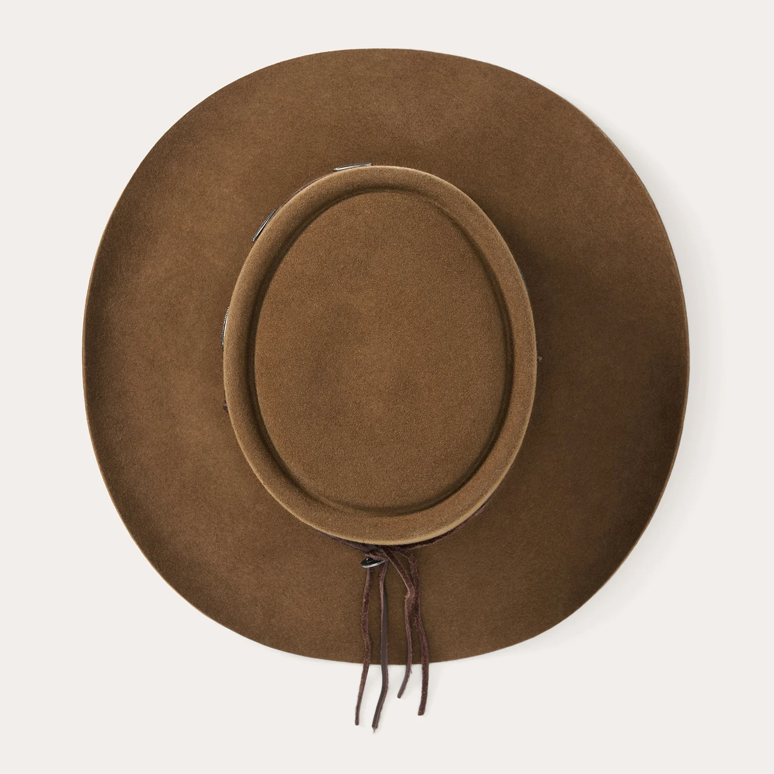 Wild Bunch - Image 4
