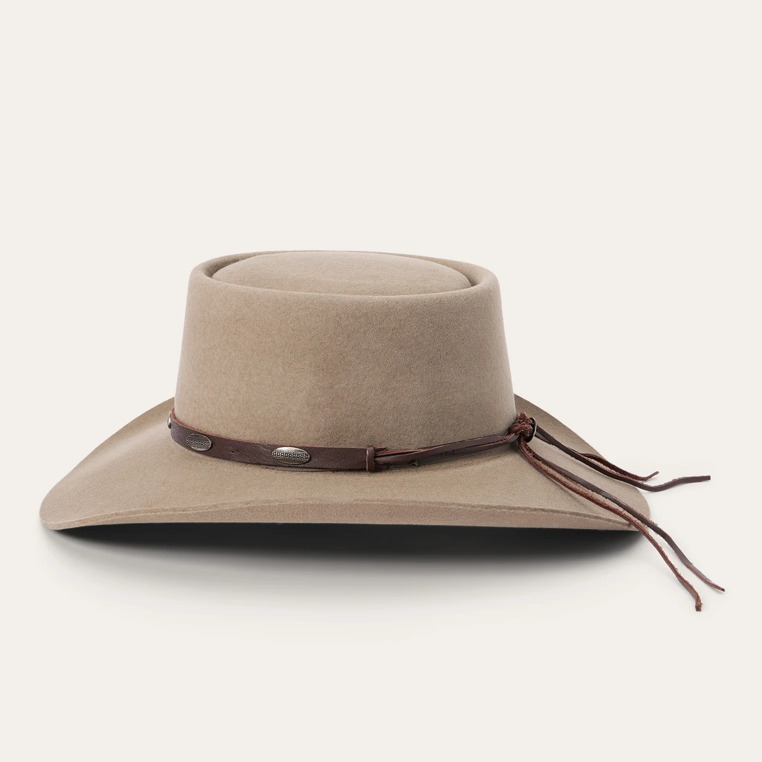 Wild Bunch - Image 3