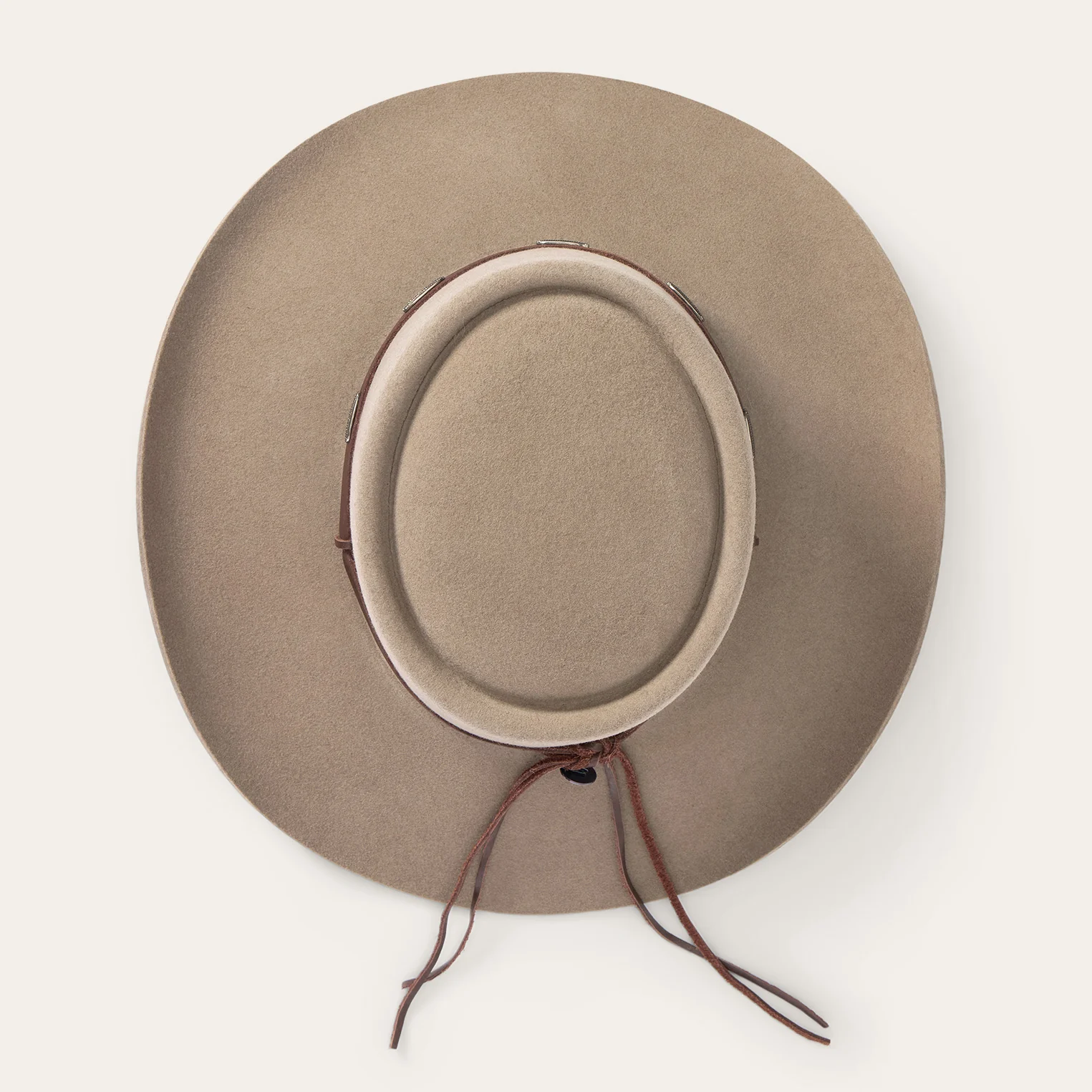 Wild Bunch - Image 4