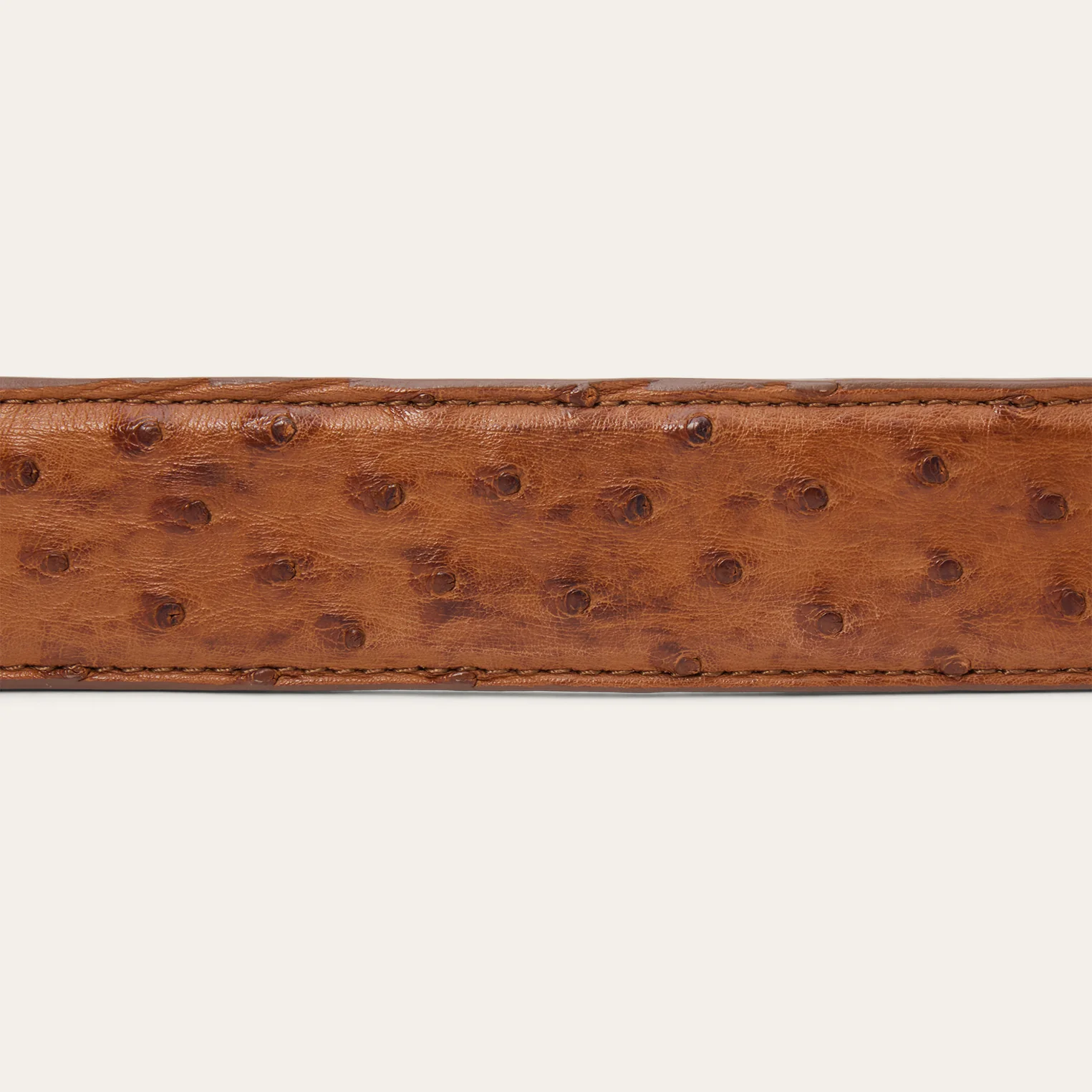 Ostrich Tapered Tab Belt - Image 6